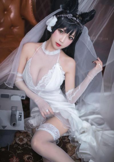 黄片毛片av