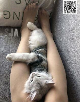 情深深雨蒙蒙免费观看完整版高清