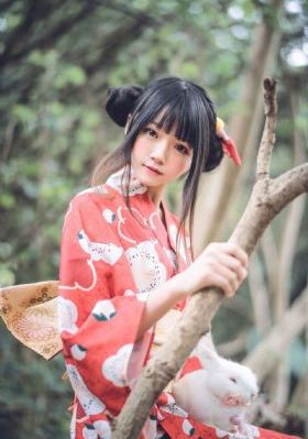 但愿人长久