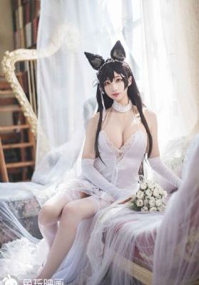 兽娘通信全集